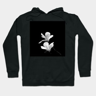 Two Magnolia Blossoms on Black Hoodie